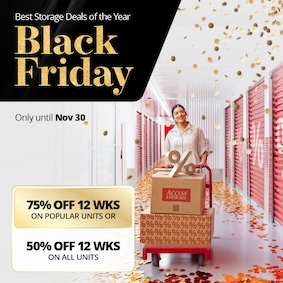 Access Storage - Wyndance Promotion