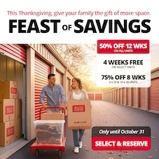 Access Storage - Wyndance Promotion