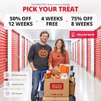 Access Storage - Wyndance Promotion