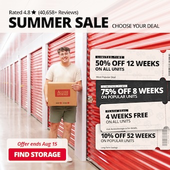 Access Storage - Wyndance Promotion
